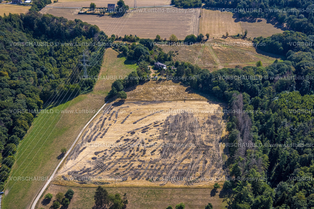 Hattingen220808021 | Luftbild, Nüfer Hof, Elfringhauser Schweiz, Niederstüter, Hattingen, Ruhrgebiet, Nordrhein-Westfalen, Deutschland