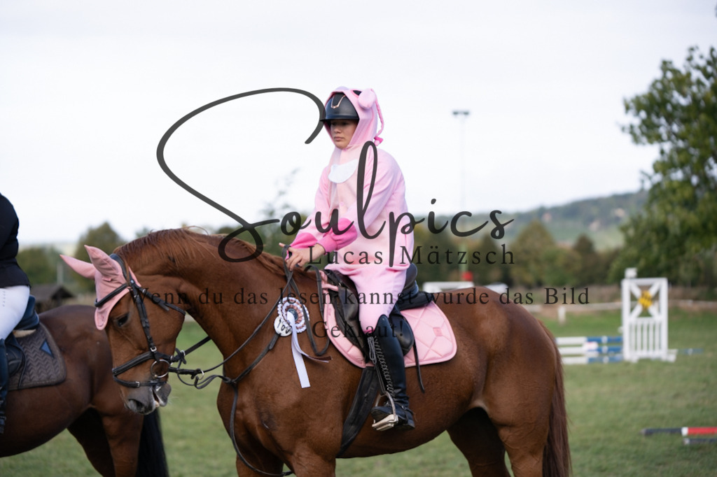 A7V06595 | Pferdefotograf