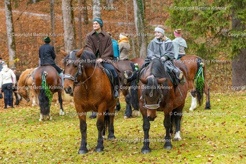 LL25-164 | foto-bettina-krinner - Realisiert mit Pictrs.com
