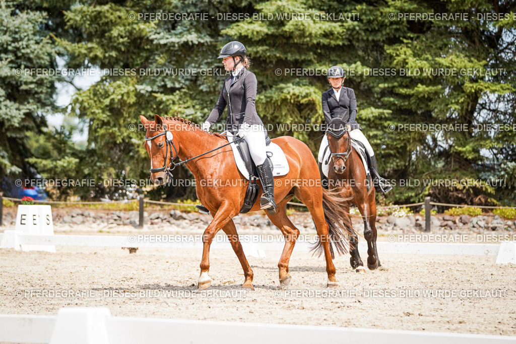 DSC03656 | Pferdegrafie