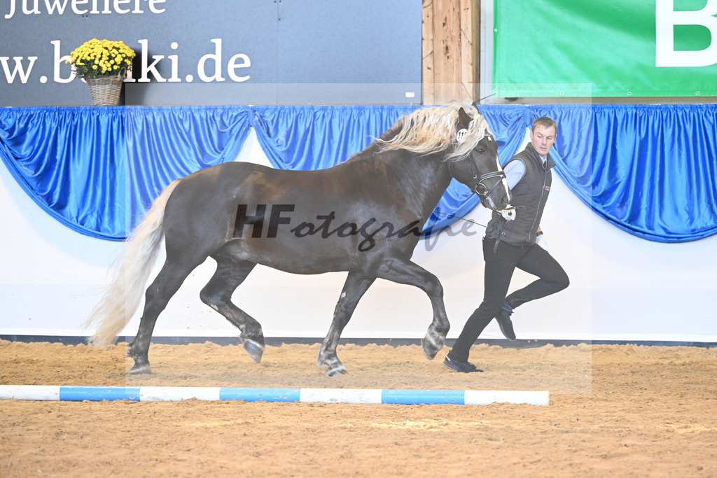 Kat-Nr. 115 Rodewald_HLG Marbach_53220828 | hf-fotografie - Realizzato con Pictrs.com