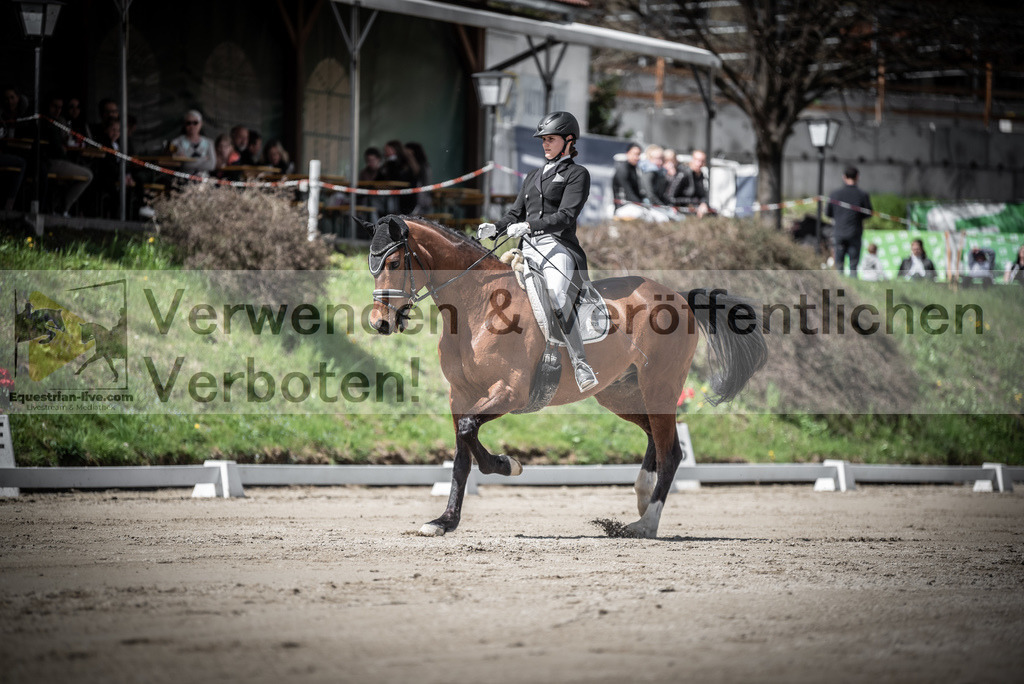 DSC_2115 | equestrian-live-com