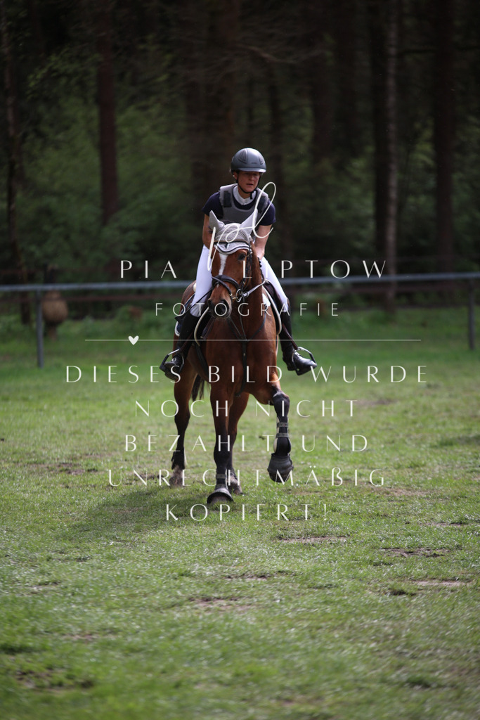 IMGT1885 | pl-fotografie