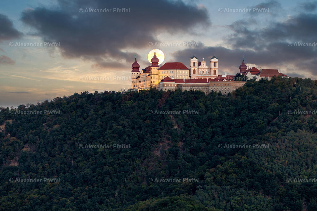 foto_c_pfeffel-partner-0042-R51_5148-HDR-Bearbeitet | alexander-pfeffel - Realisiert mit Pictrs.com