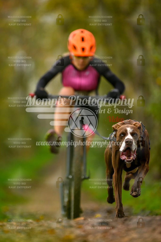 MompixPhotography_20TSB_E6_DS1-73 | PayLife