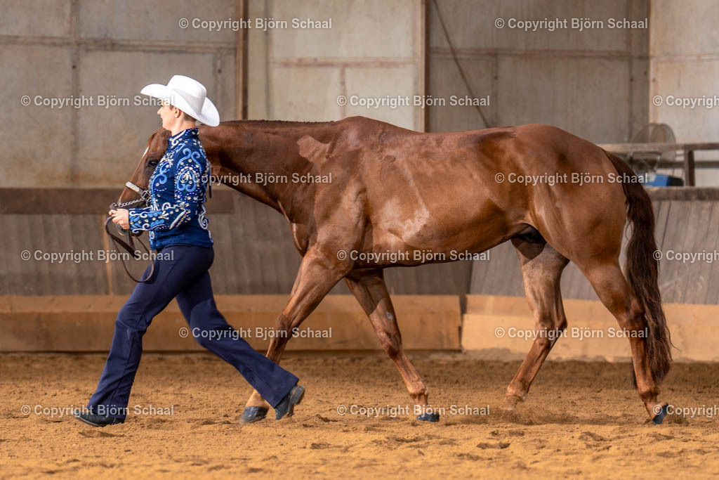 LMS02104 | BS-foto
