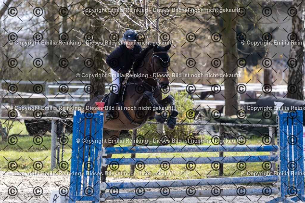 CL5A8191 | Emilia Reinking Fotografie - Realisiert mit Pictrs.com