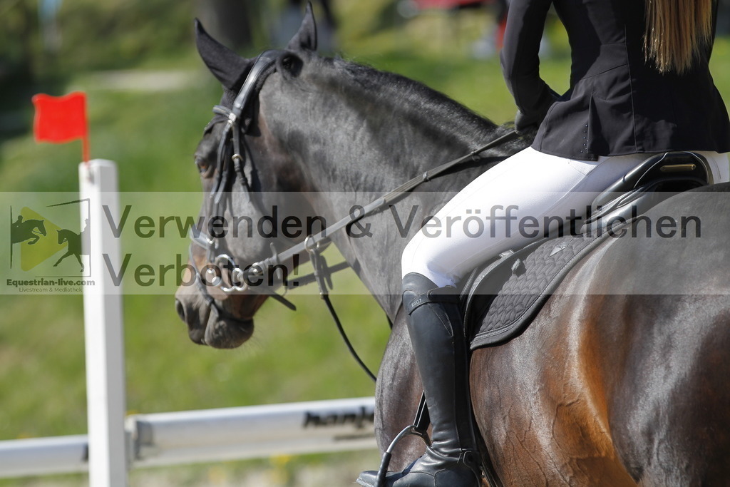 _MG_6830 | equestrian-live-com