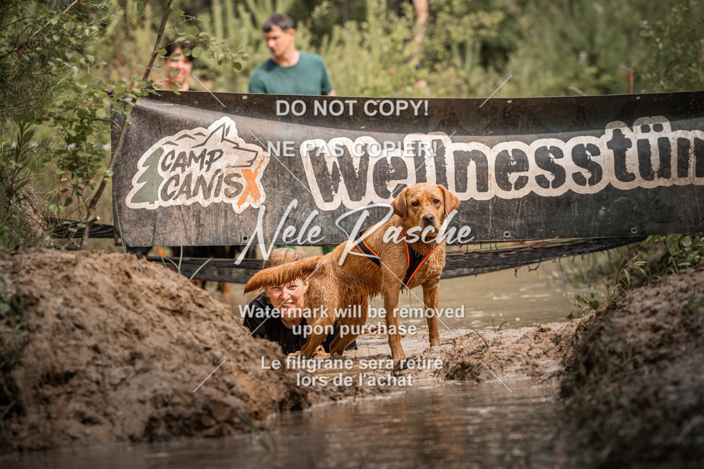 nelerasche_Hoope2026_Sa1030-1100_170 | nelerasche