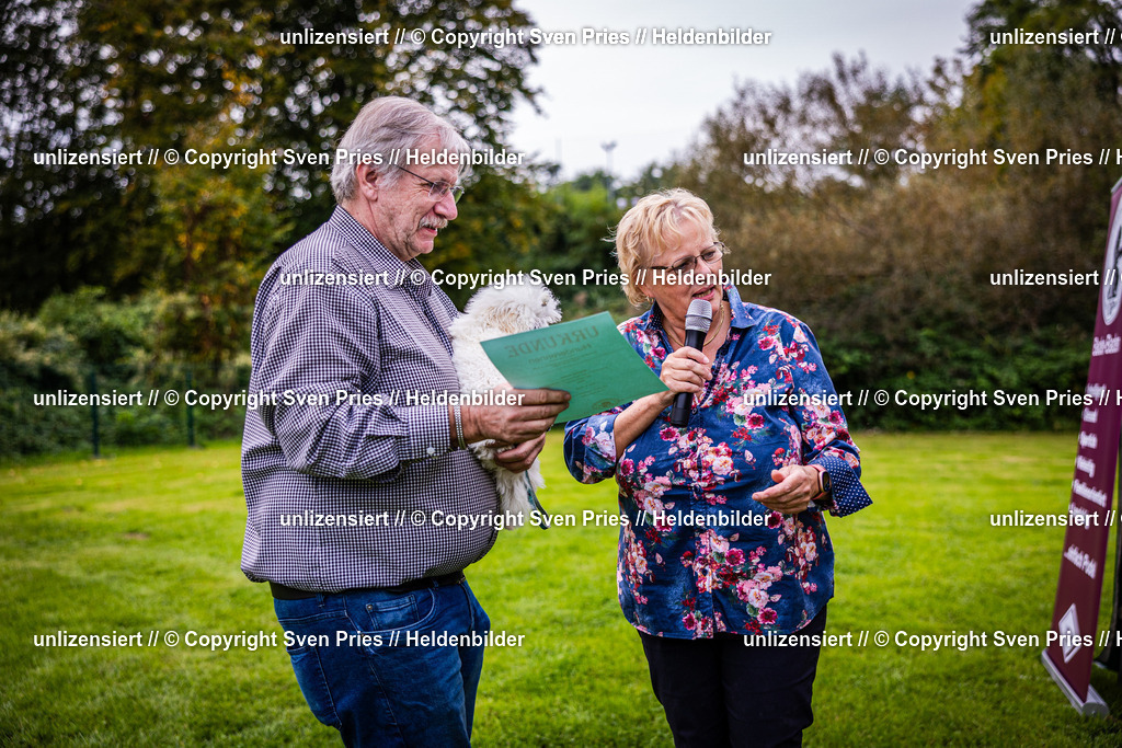 Sven Pries | 2024-09-22 - Hunderennen Baden-BadenPudelverein - Realisiert mit Pictrs.com