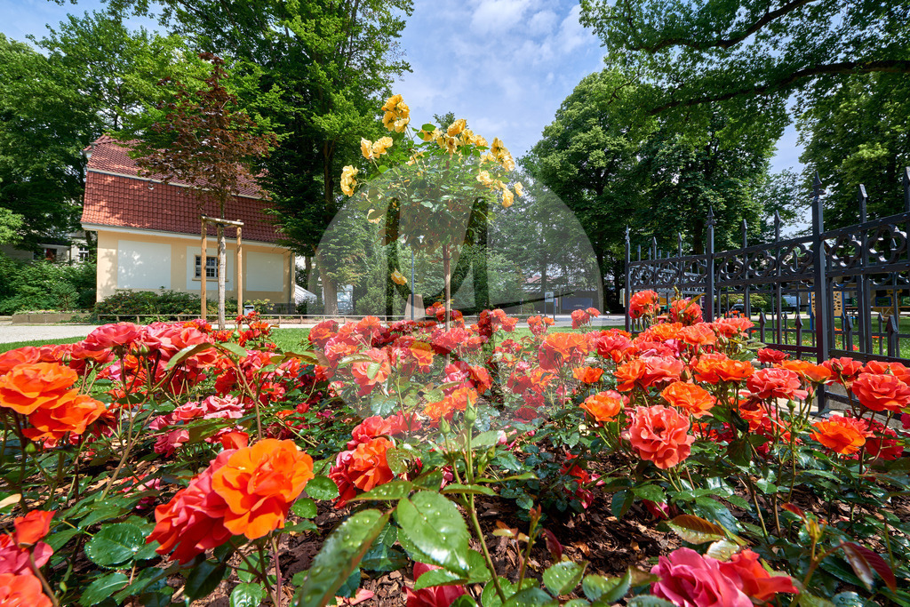 Osnabrückerland, Niedersachsen | Meurer Shop - Realisiert mit Pictrs.com