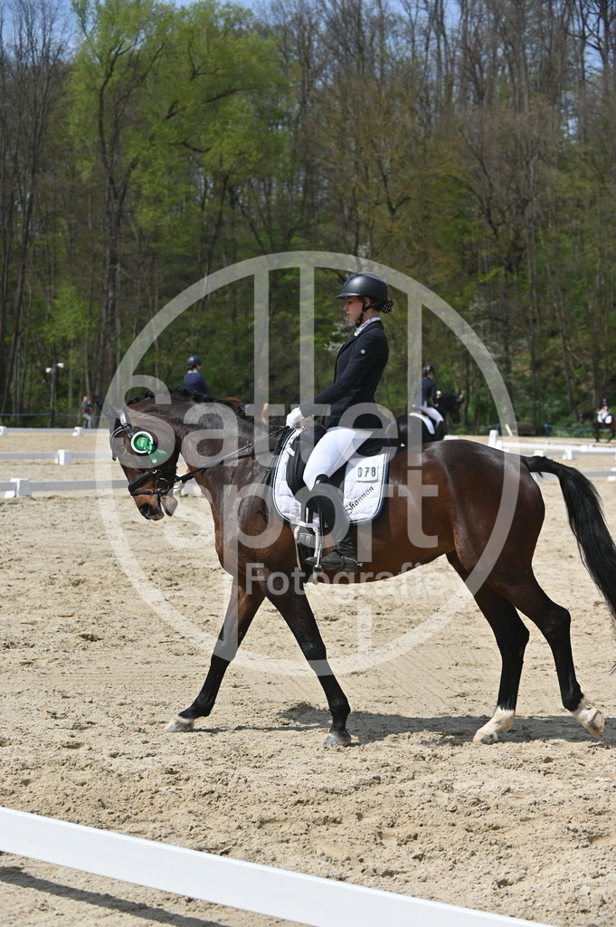 DSC_2664 | sattelsport - Realisiert mit Pictrs.com