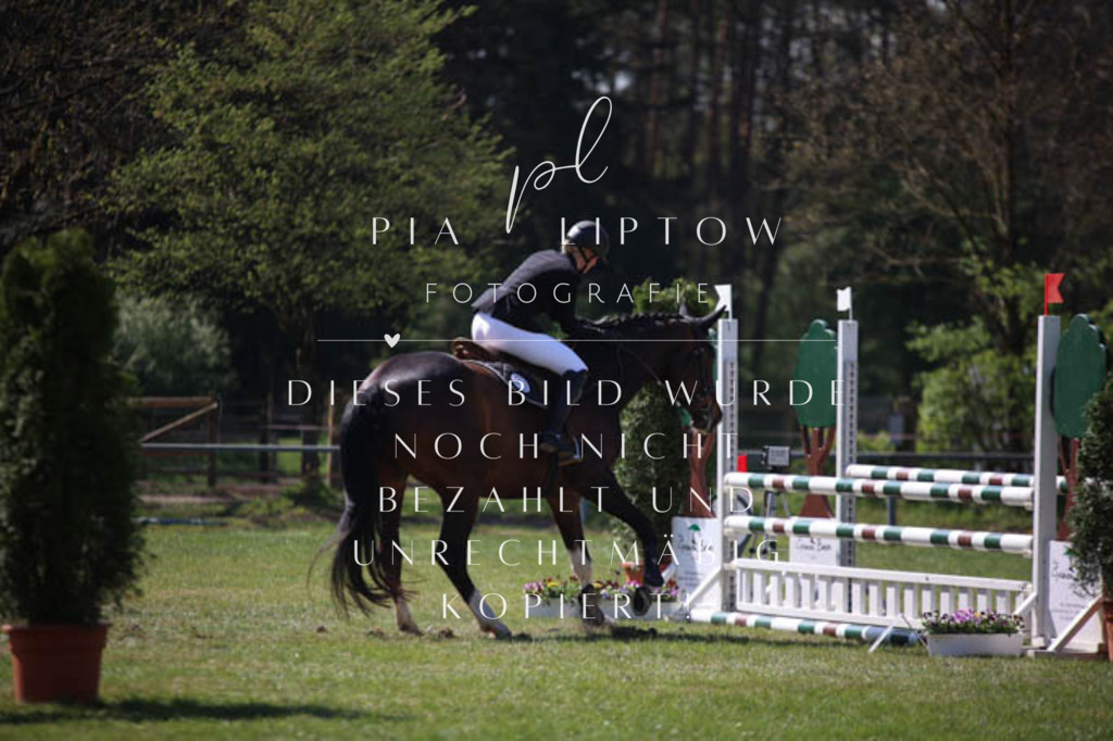 IMGT5634 | pl-fotografie