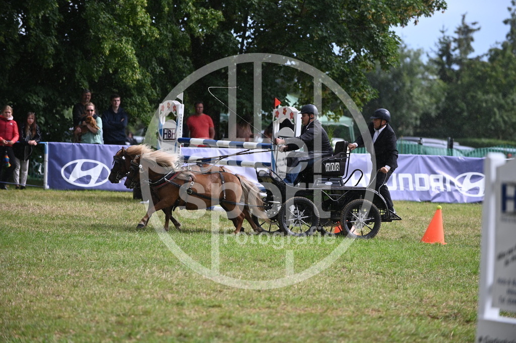 DSC_8869 | sattelsport - Realisiert mit Pictrs.com