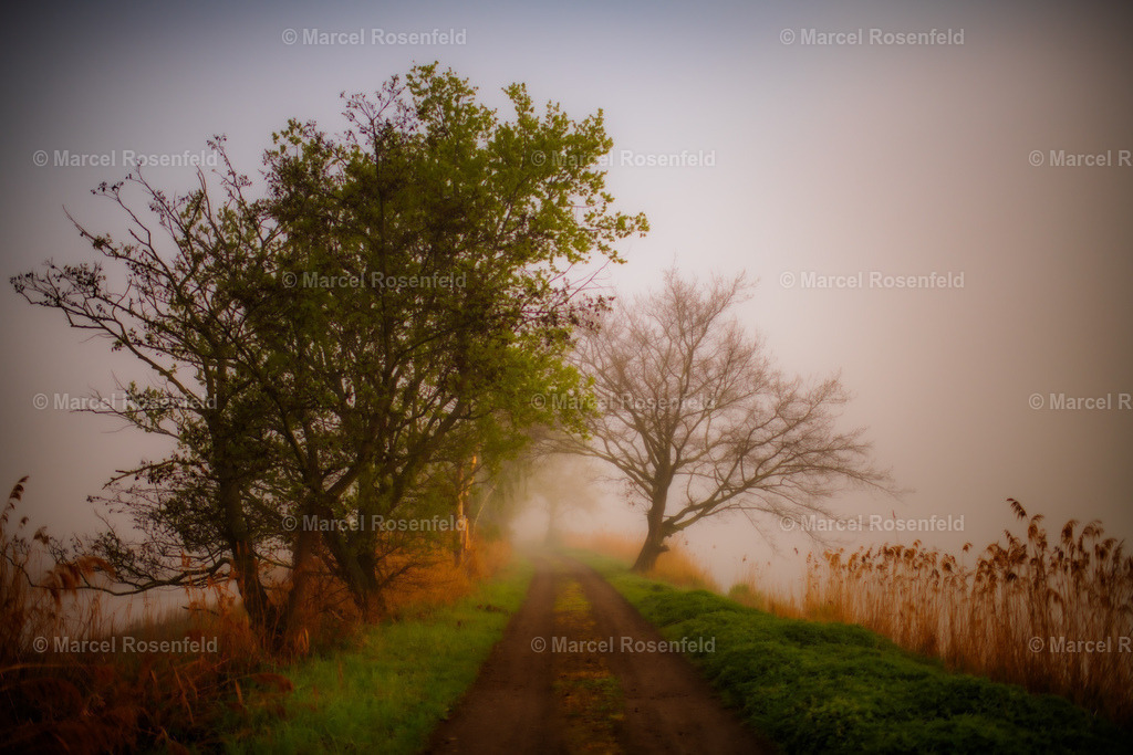 _DSC3169 (1) | foto-rosenfeld