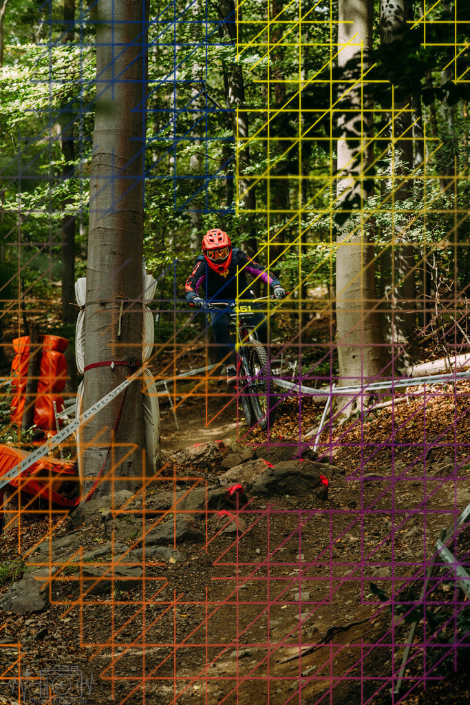 PAE-1406 | Einzigartige Fotokunst für dein Zuhause: Entdecke hochwertige Wandbilder, edle Prints und emotionale Motive von Wildlife, Natur und Landschaften - Realisiert mit Pictrs.com