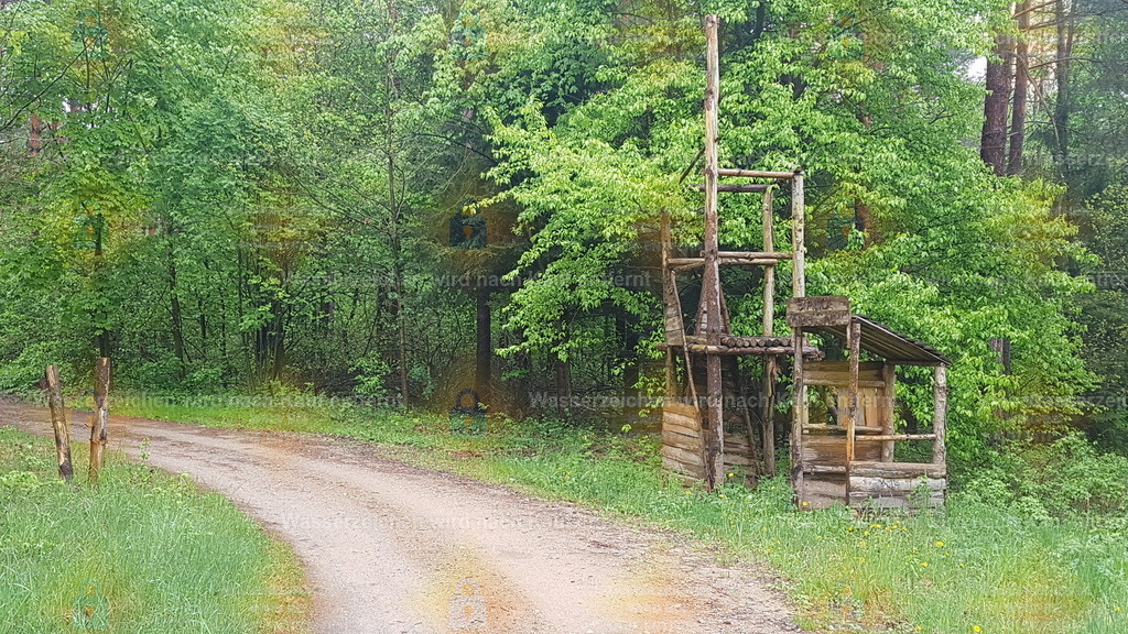 20190515_155330 | Fotoseite Wolkenblende - Das Hobby fotografieren begleitet mich schon  viele  Jahre. Auf den nächsten Seiten zeige ich ein paar Schnappschüsse der letzten Jahre und es kommen immer neue hinzu. Schau einfach mal rein. - Realisiert mit Pictrs.com