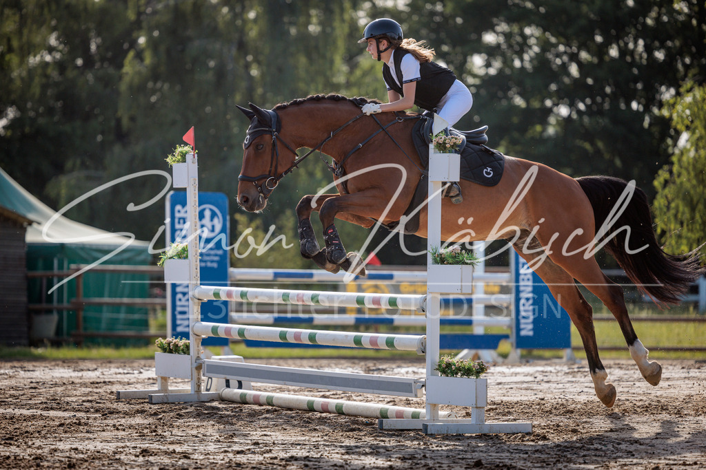 20260529-_3LI0515 | Tierfotografie Pferde, Hunde, Katzen, Haustiere.
Turnierfotografie Reitturniere, Reiten, Springreiten, Dressur in Hanau, dem Main-Kinzig-Kreis und dem Rhein-Main- Gebiet um Frankfurt