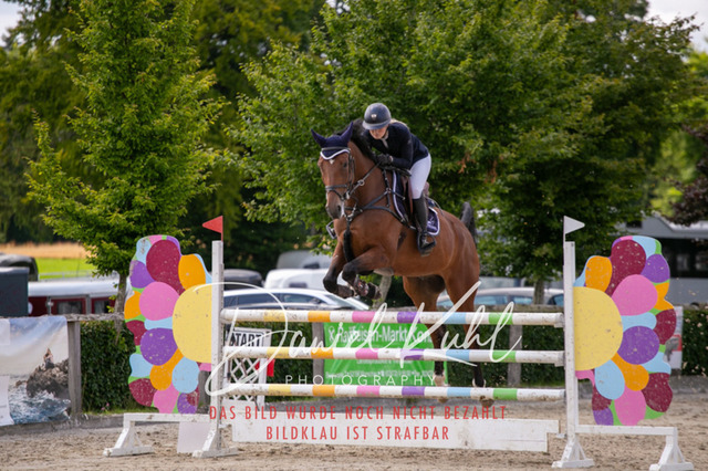 IMG_5827 | Turniersportfotografie; Pferdefotografie; Dressurfotografie