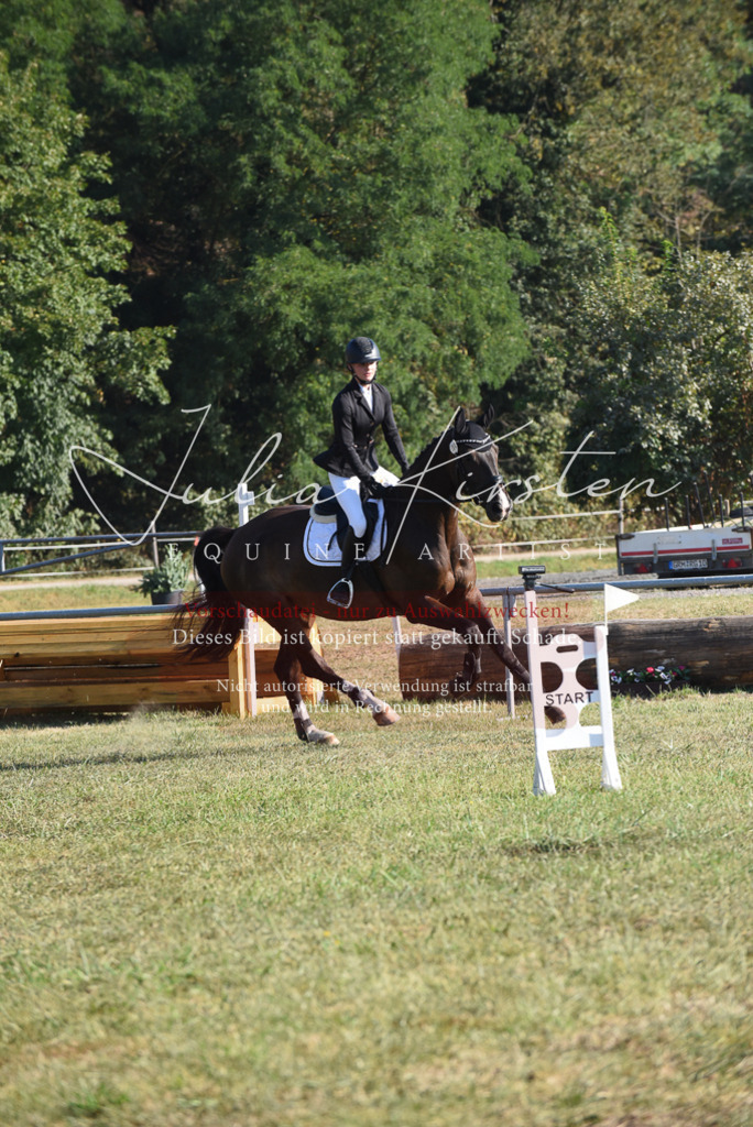 DSC_5146 | Pferde- und Turnierfotografie in Westsachsen. Pferdeportraits, Auftragszeichnungen und intuitive Kunst.