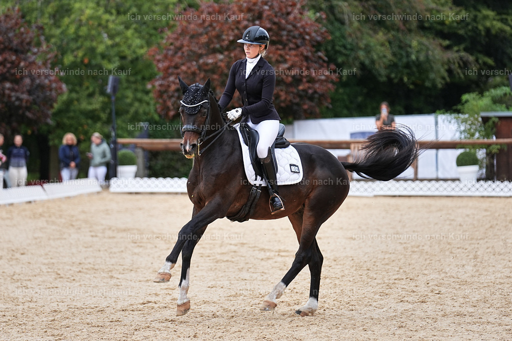 3-104-Dressur M_-Marixx-1970 | working equitationturnier fotograf videograf stoibphotography marixx film working equitation deutschland reitsport turnierfotografie eventfotografie equestrian events