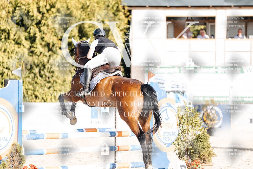 CK909624 | Turnierfotografie Pferdefotografie Trier Rheinland-Pfalz Pferdesport Reitsport Tierfotografie Sportfotografie Pferdevideo Pferdevideografie Equestrianvideography equestrianphotography  - Realisiert mit Pictrs.com