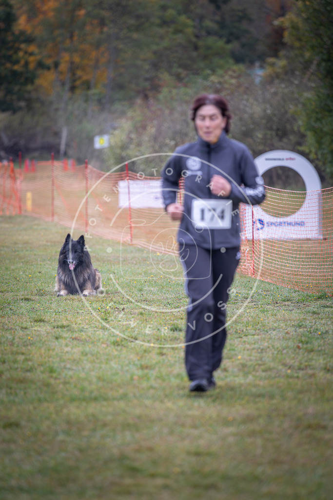 Pfotenfotografie_DV3A9266 | Hundefotografie, Tierfotograf, Pfotenfotografie, Fotoshooting Hund, Hunde Portrait, Hundesport, Hundeportraits, Heideshooting, Hunde, Sportfotograf, Hundefotograf, Turnierhundsport, THS,  - Realisiert mit Pictrs.com