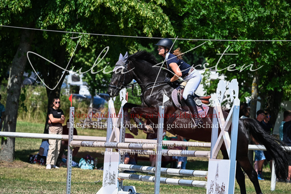 DSC_1042 | Pferde- und Turnierfotografie in Westsachsen. Pferdeportraits, Auftragszeichnungen und intuitive Kunst.