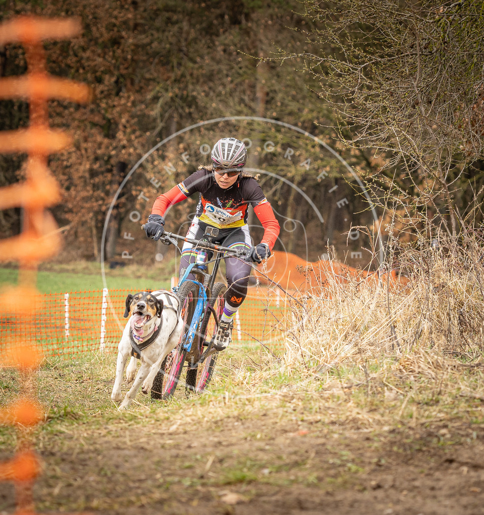 DV3A0789 | Hundefotografie, Tierfotograf, Pfotenfotografie, Fotoshooting Hund, Hunde Portrait, Hundesport, Hundeportraits, Heideshooting, Hunde, Sportfotograf, Hundefotograf, Turnierhundsport, THS,  - Realisiert mit Pictrs.com