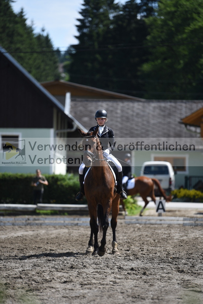 DSC_0078 | equestrian-live-com