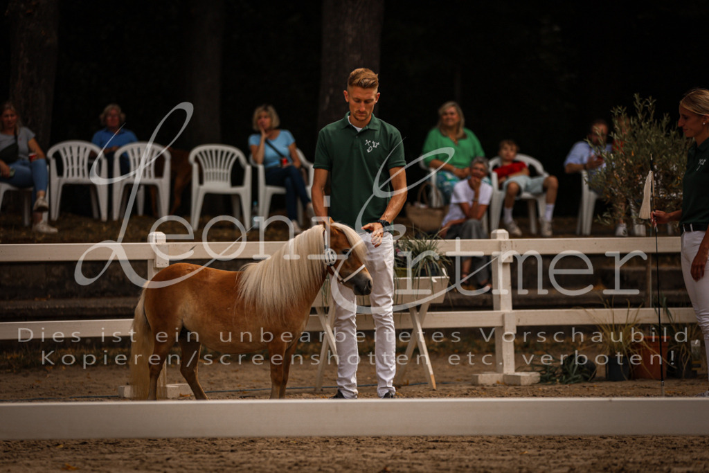 1.-2.Elite00003 | Leoni Ertmer Photography - Realisiert mit Pictrs.com