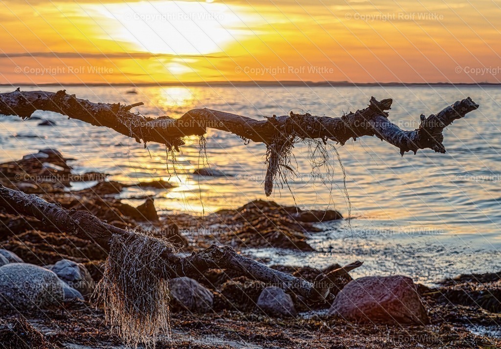 poel3.3 | Rolf Wittke  - Realisiert mit Pictrs.com