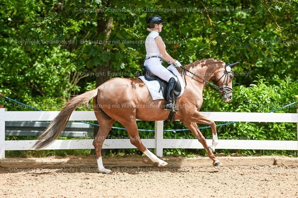 20230716_03_Dressurprfg. Kl.L - Tr._0524 | equistock