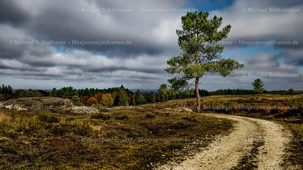 Trail - Camino del Norte - Spain | Wildlife- und Landschaftsfotografie als Wandbild, Poster & mehr. Einzigartige Naturmomente aus Neuseeland, Norwegen & weltweit – fotografiert von Michael Schlothauer. - Realisiert mit Pictrs.com