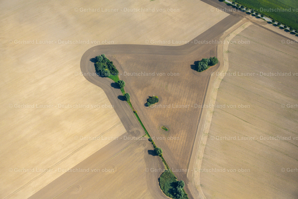 4061715 | NEUENPLEEN 08.09.2021 Baum- Inseln auf einem Feld in Neuenpleen im Bundesland Mecklenburg-Vorpommern, Deutschland. // Islands of trees in a field in Neuenpleen in the state Mecklenburg - Western Pomerania, Germany. Foto: Gerhard Launer