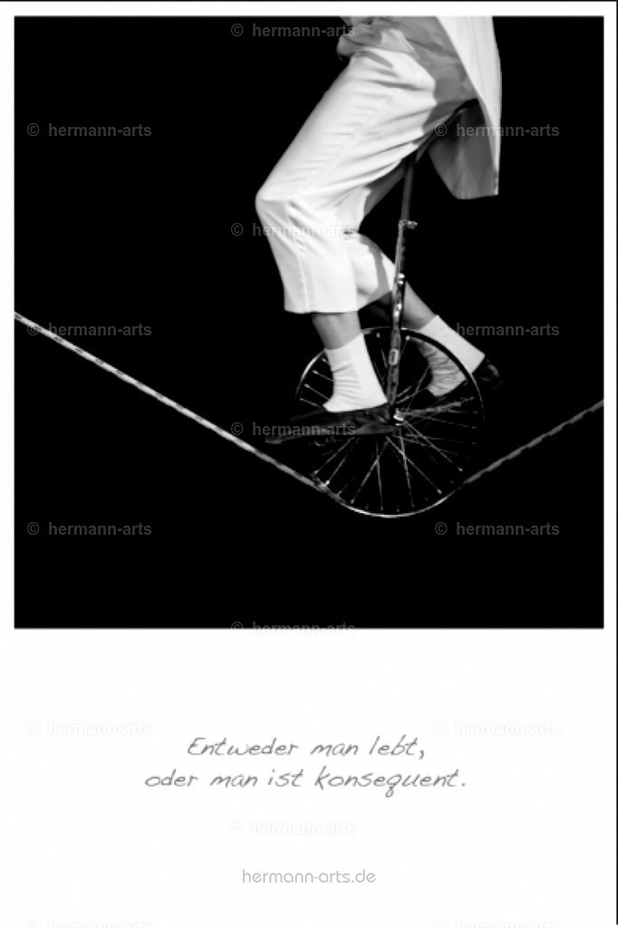 PK_Zitate_10x15_BW-071 | Photo Foto Kunst Art schwarzweiss Bilder Rheine Münster Berlin Blumen 