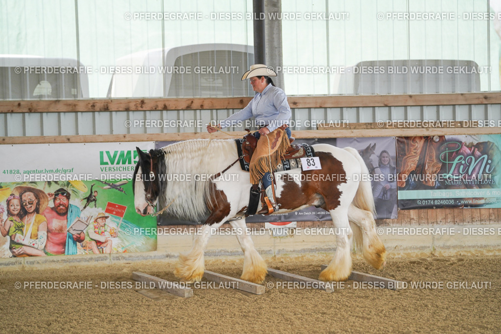 DSC02669 | Pferdegrafie