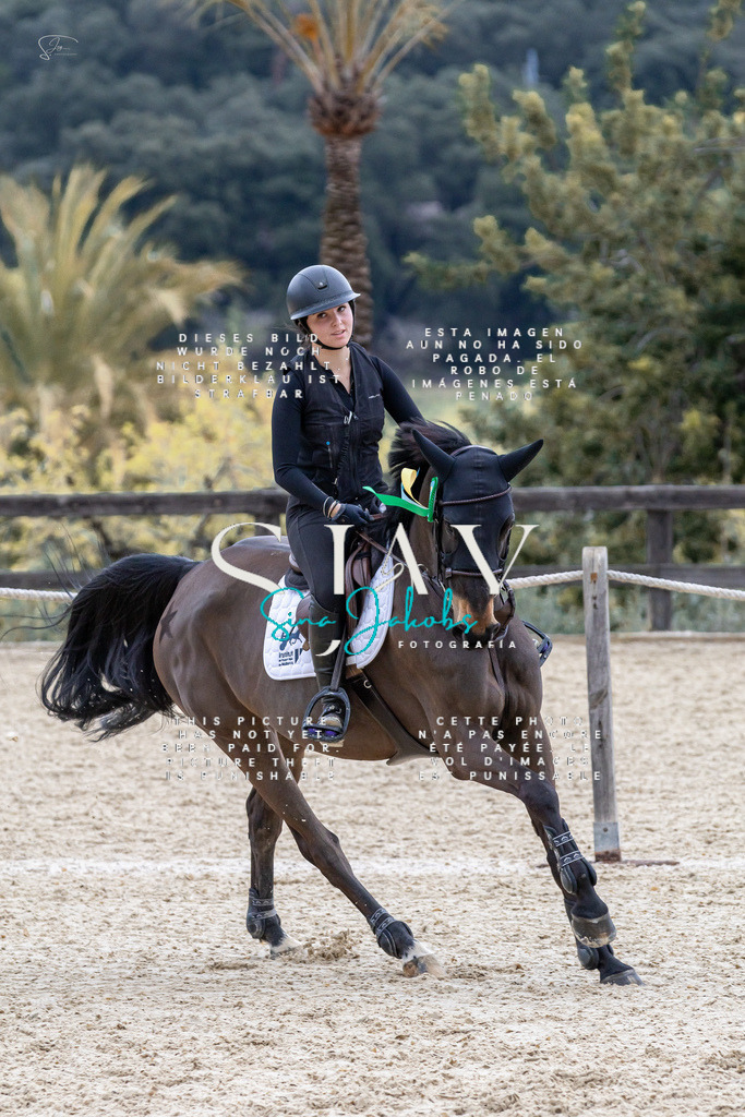 IMG_4189 | s-jay-photography - Realisiert mit Pictrs.com