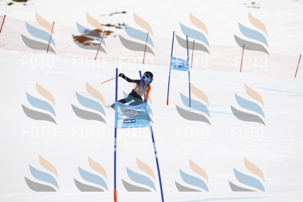 _U3G6525 | holidayphoto