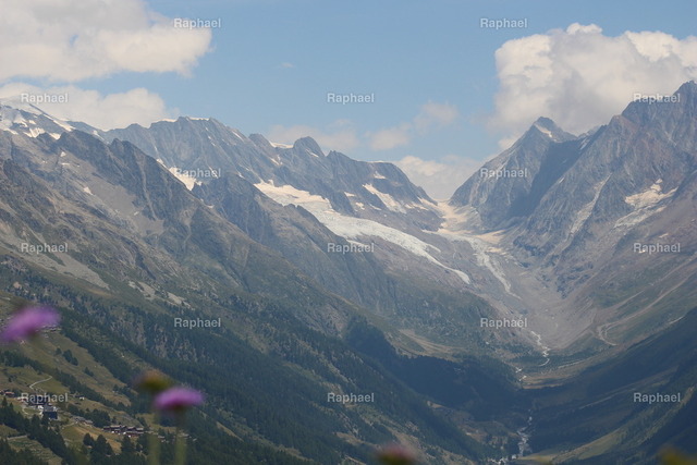 IMG_3298 | Raphael - Realisiert mit Pictrs.com