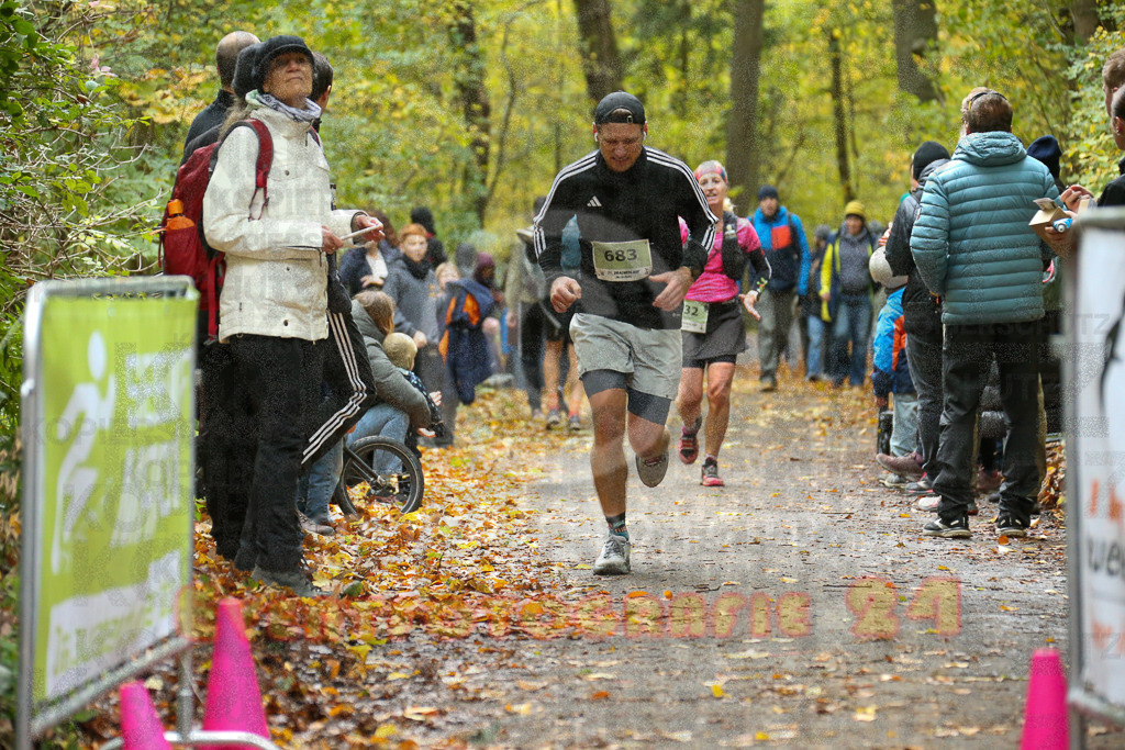 251026_1255_EX1_1941 | Sportfotografie im Rhein-Sieg Kreis, Köln, Bonn, NRW, Rheinland Pfalz, Hessen, etc. Unser Tätigkeitsfeld umfasst den Laufsport vom Volkslauf über den Marathon, Duathlon, Triathon bis zum Ultralauf wie Kölnpfad Ultra oder Schindertrail.