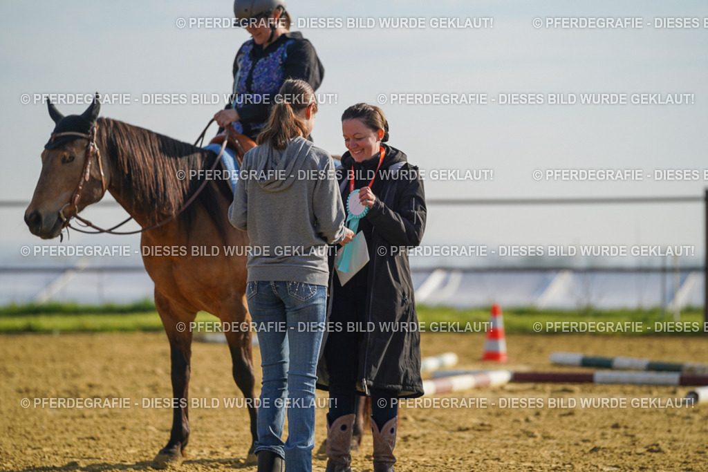 DSC00696 | Pferdegrafie