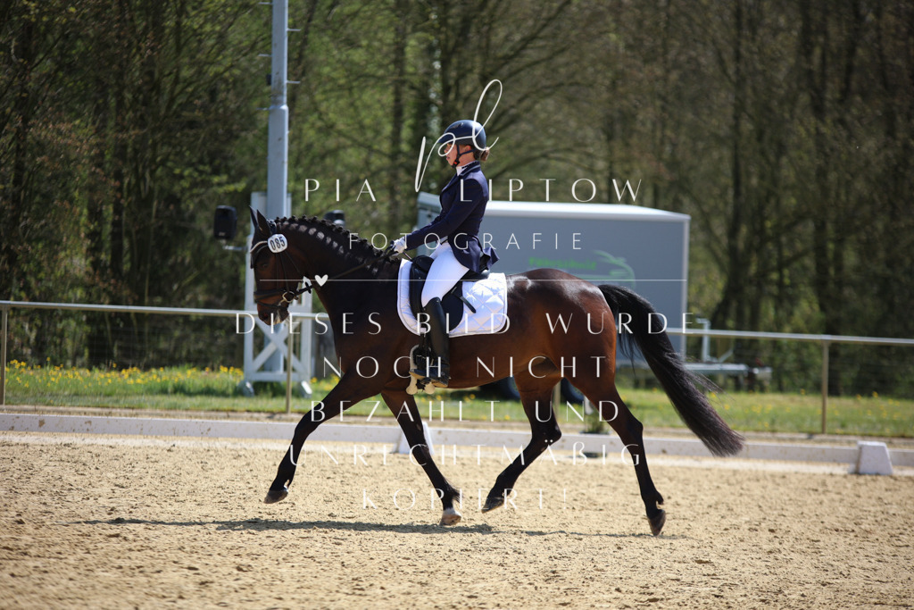 IMGT7100 | pl-fotografie