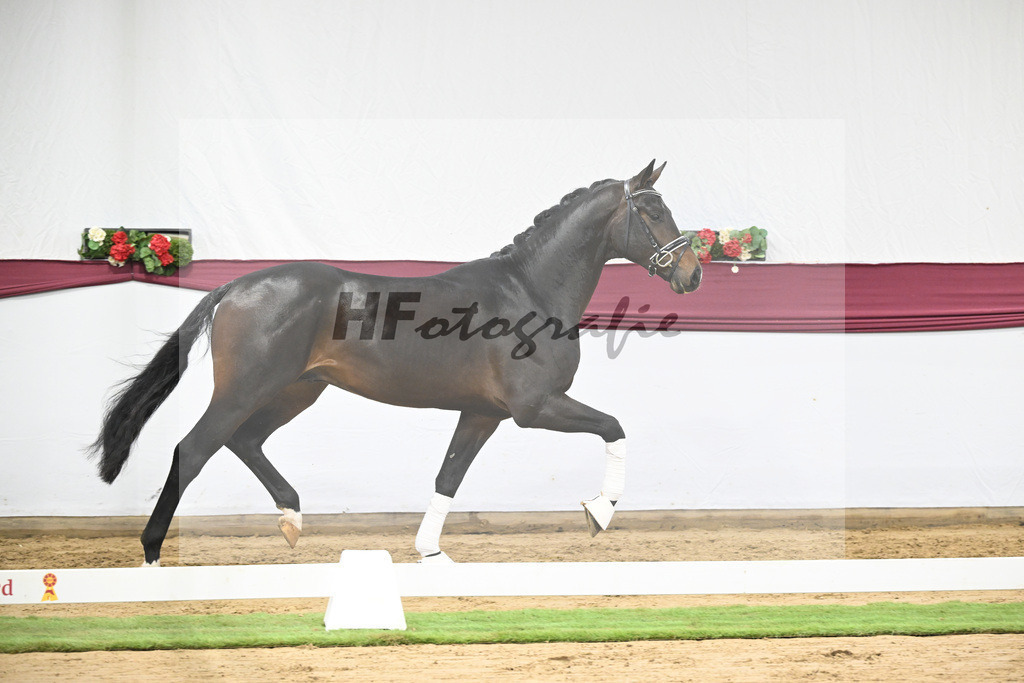 Kat-Nr. 114 Escaneno x Dr. Jackson D_Drews Reutalmuehle eGbR_47253646 | hf-fotografie - Realisiert mit Pictrs.com