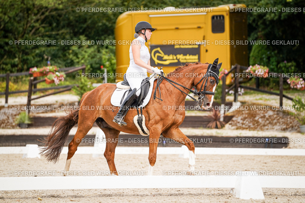 DSC07338 | Pferdegrafie