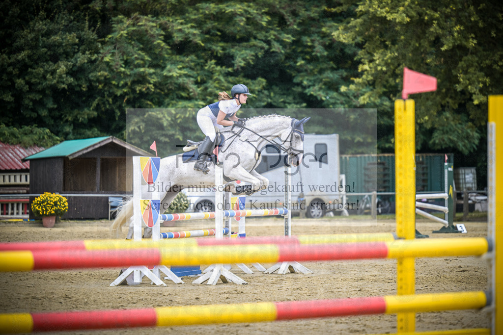 DOS_8937 | Entdecke hochwertige Reitturnierfotos von Foto Oger. Professionell, emotional und authentisch – jetzt Lieblingsmomente im Shop bestellen.Deutschlandweite Turnierfotografie. - Realisiert mit Pictrs.com