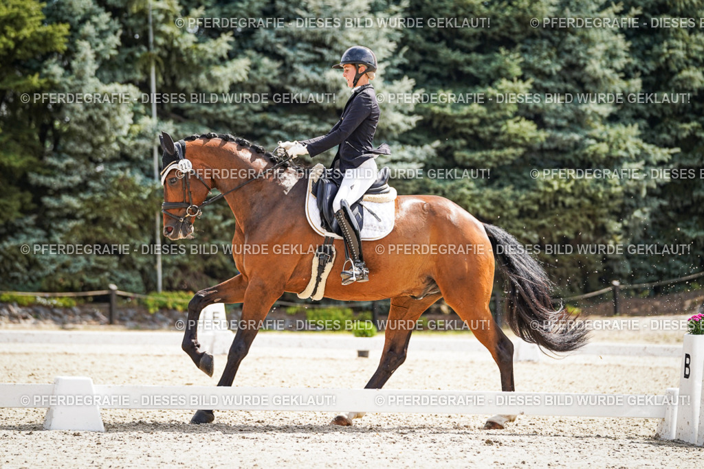 DSC09134 | Pferdegrafie