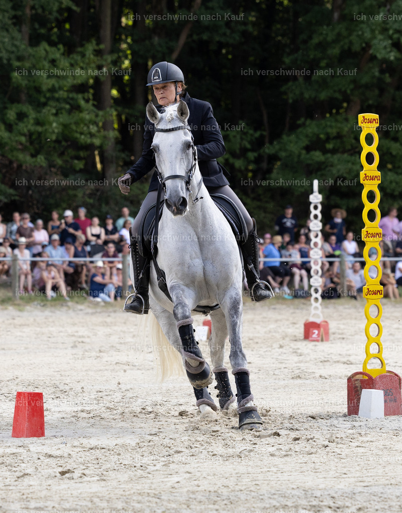 WS_SPEED_43_KerstinBernhardt-10 | working equitationturnier fotograf videograf stoibphotography marixx film working equitation deutschland reitsport turnierfotografie eventfotografie equestrian events