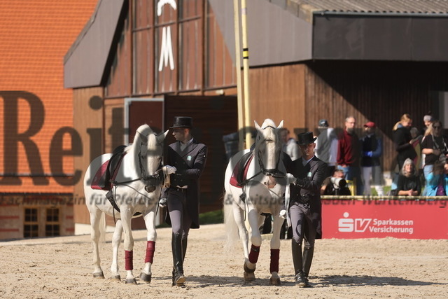 Marbach_Hengstparade_2024 (104) | Alle Fotos der Reiterjournal Fotografin Doris Matthaes im Reiterjournal Online-Fotoshop. - Realizado com Pictrs.com