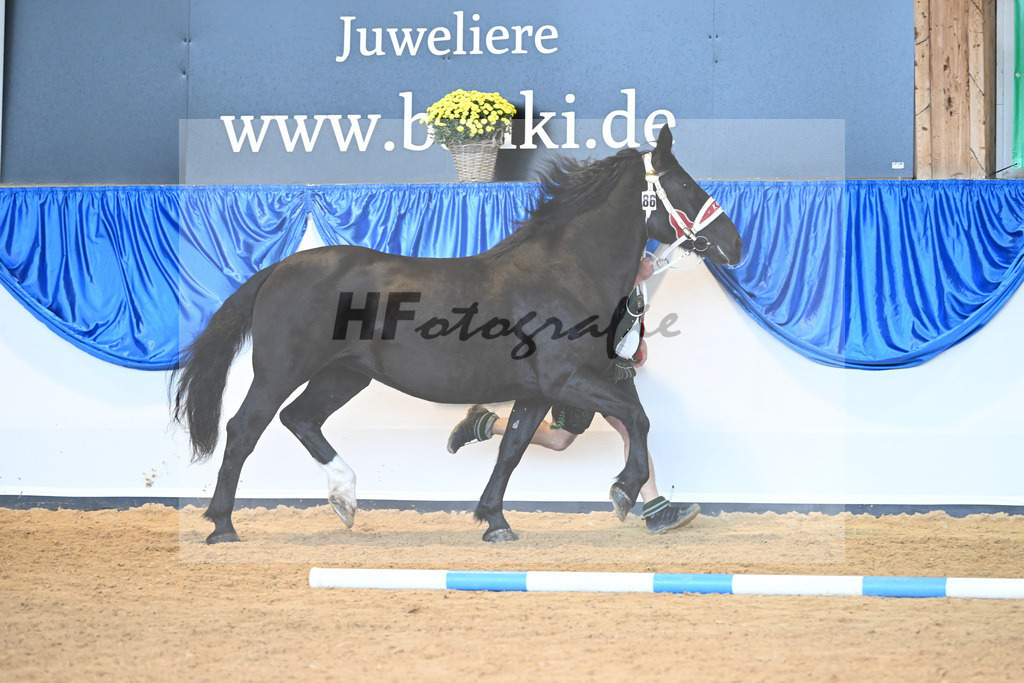 Kat-Nr. 86 Heidi_Fritzmeier_53220484 | hf-fotografie - Realisiert mit Pictrs.com
